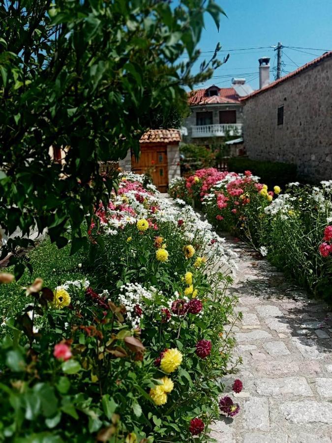 Bed and Breakfast Bujtina Shkodrani Voskopojë Exterior foto